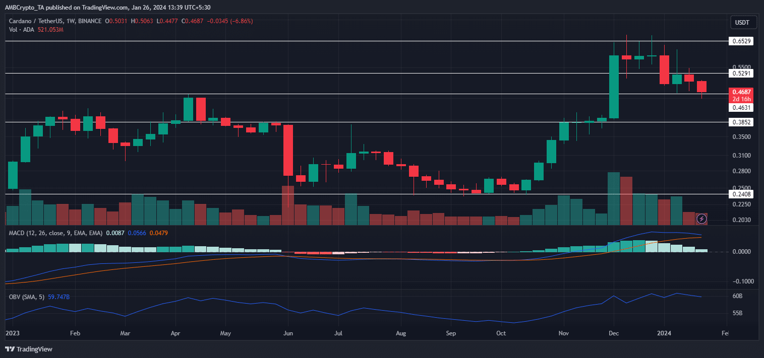 will cardano recover